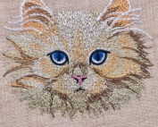 kitten face embroidery design