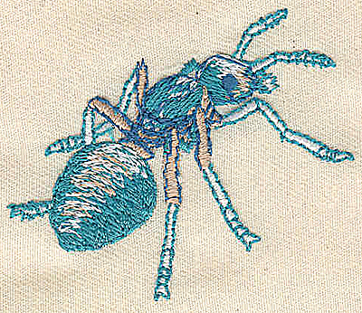 Embroidery Design: Ant 2.35w X 1.99h