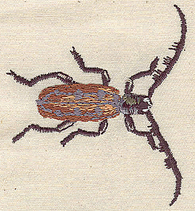 Embroidery Design: Long Horned Beetle 2.31w X 2.56h