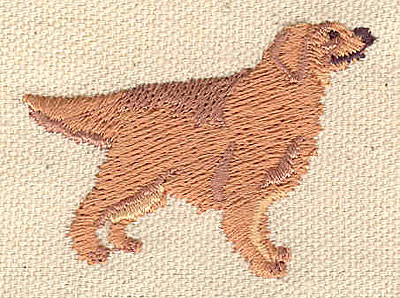 Embroidery Design: Golden Retriever  2.04w X 1.46h