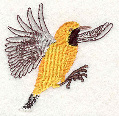 Embroidery Design: Orange Chat 3.17w X 3.09h