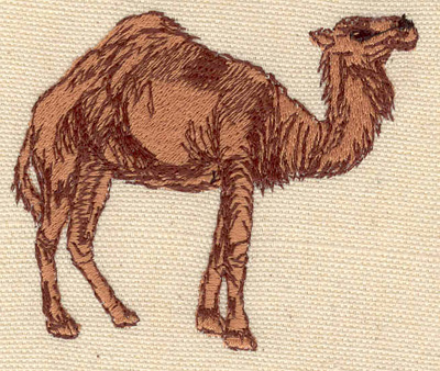 Embroidery Design: Camel 3.00w X 2.60h