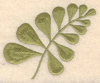 Embroidery Design: Fern 3.08"w X 2.53"h