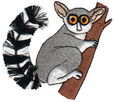 Embroidery Design: Fringe Lemur3.11" x 3.06"