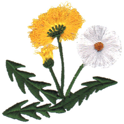 Embroidery Design: Dandelion3.10" x 3.03"