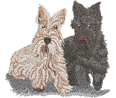 Embroidery Design: Scottish Terriers Lg 4.57w X 4.26h