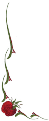 Embroidery Design: Apple (small)10.61" x 4.58"