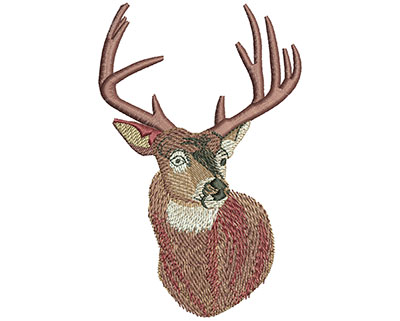 Embroidery Design: Whitetail Portrait Lg 2.91w X 4.52h