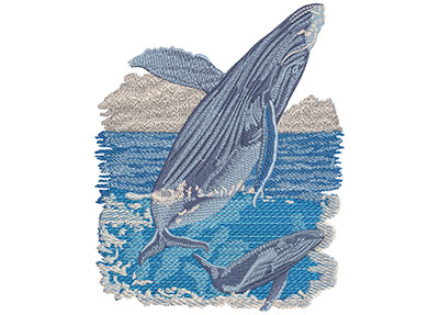 Embroidery Design: Humpback Whale Lg 5.17w X 5.96h