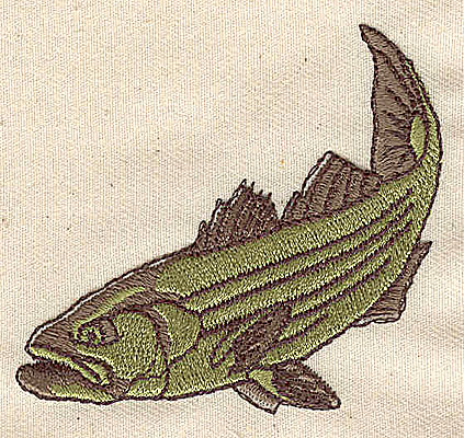 Embroidery Design: Fish 3.50w X 2.31h