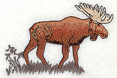 Embroidery Design: Moose 3.69w X 2.50h