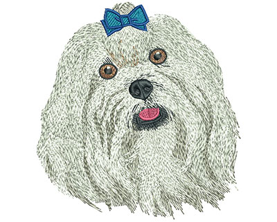 Embroidery Design: Maltese Lg 4.27w X 4.57h