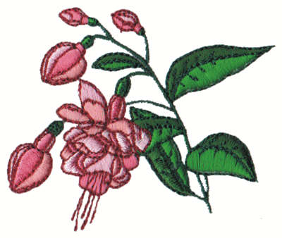 Embroidery Design: Fuschia3.06" x 2.69"