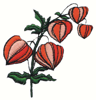 Embroidery Design: Chinese Lantern2.69" x 3.00"