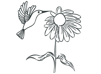 Embroidery Design: Hummingbird with Flower Outline 6.42w X 7.09h