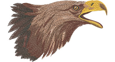 Feature Eagle Head 12 inch