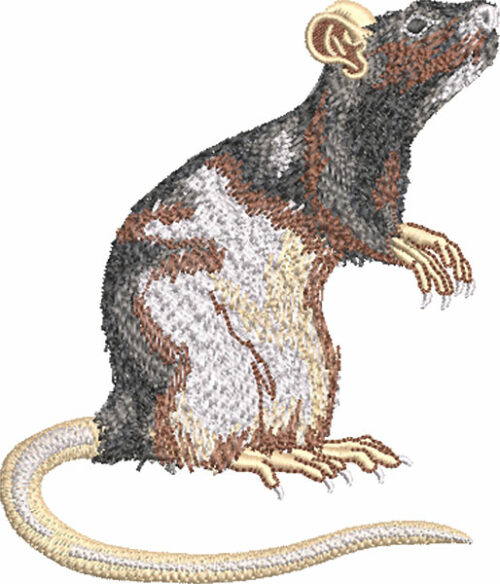 pet rat embroidery design