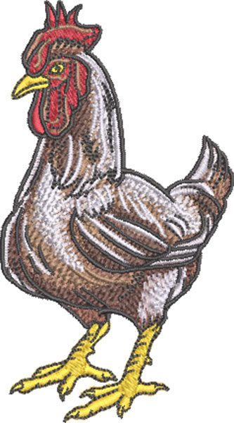 chicken embroidery design