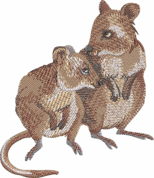 Quokkas embroidery design