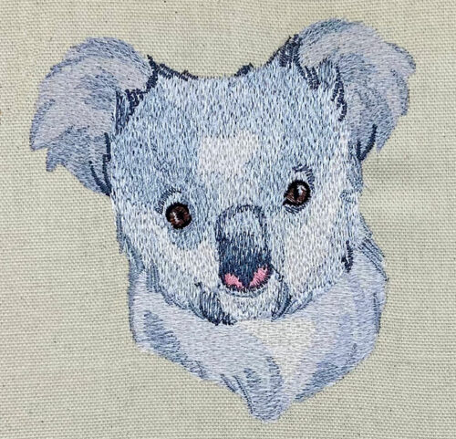 Outback Koala Head