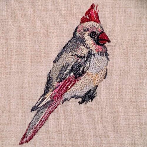 cardinal embroidery design