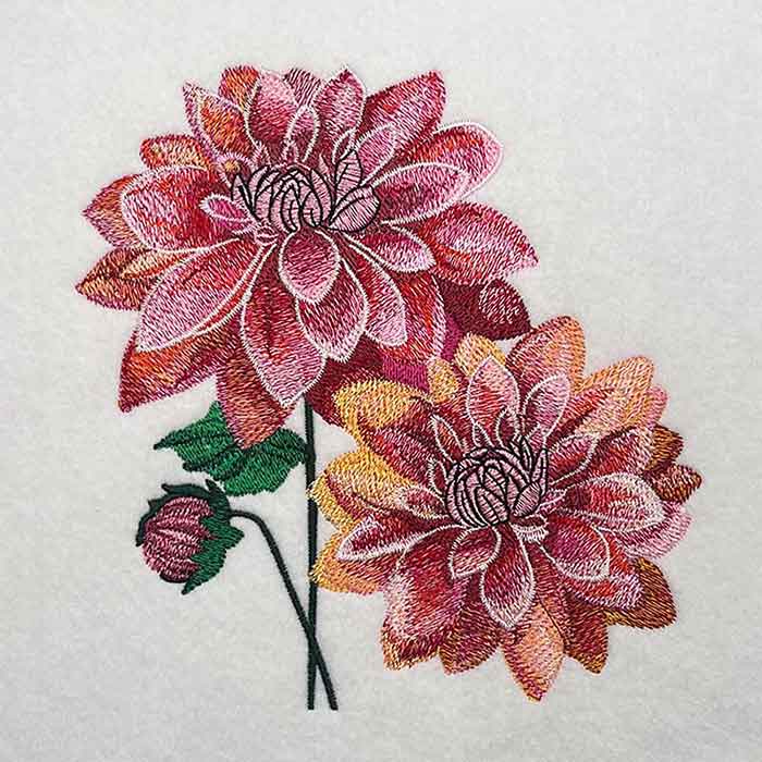 Dahlia Embroidery Legacy Design 4