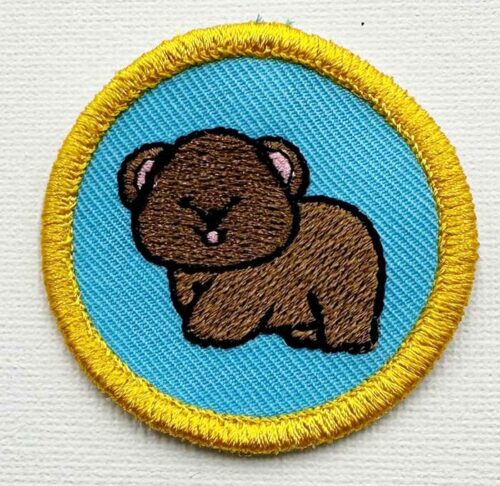 Cute Cuddly Bear Patch